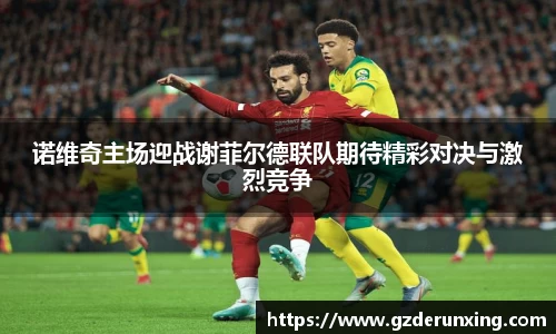 多多28官方网站