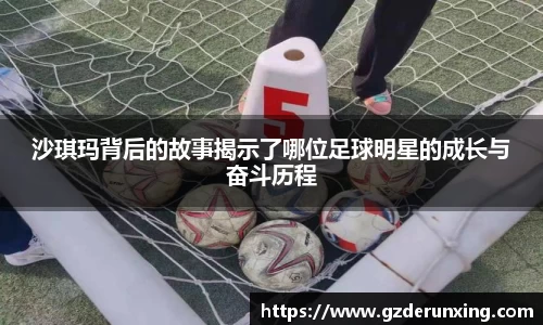 星空·综合体育官方网站